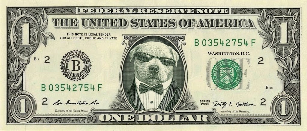 A one dollar bill with $PAWS dog in the portrait